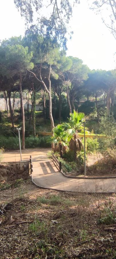 Beach Forest Paradise Marbella Dış mekan fotoğraf