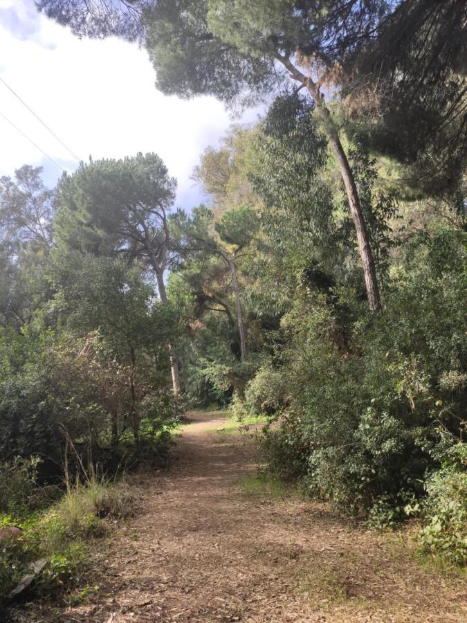 Beach Forest Paradise Marbella Dış mekan fotoğraf